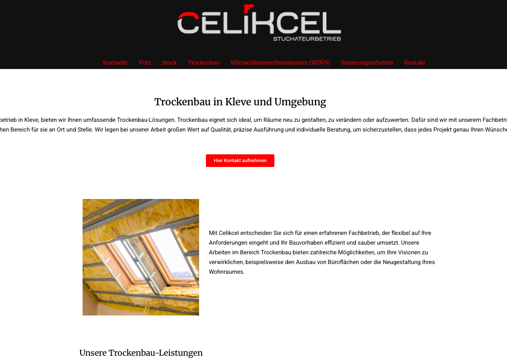 Screenshot der Website celikcel.de, als Referenz-Bild für Mariana Strüver Webdesign