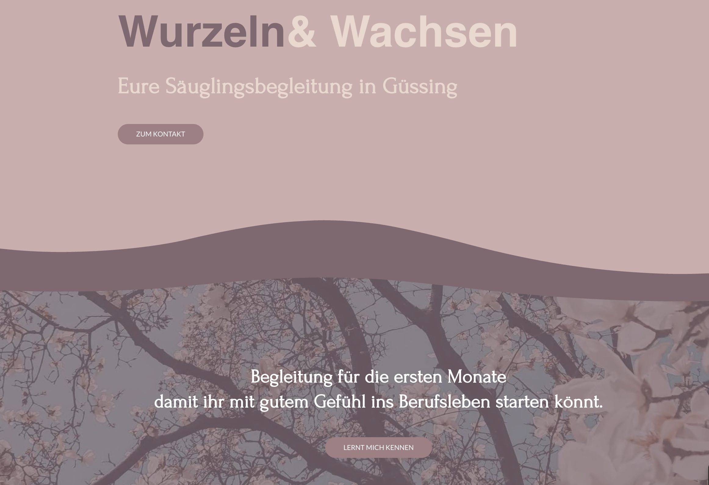 Screenshot der Website Wurzeln & Wachseln Säuglingsbegleitung Güssing